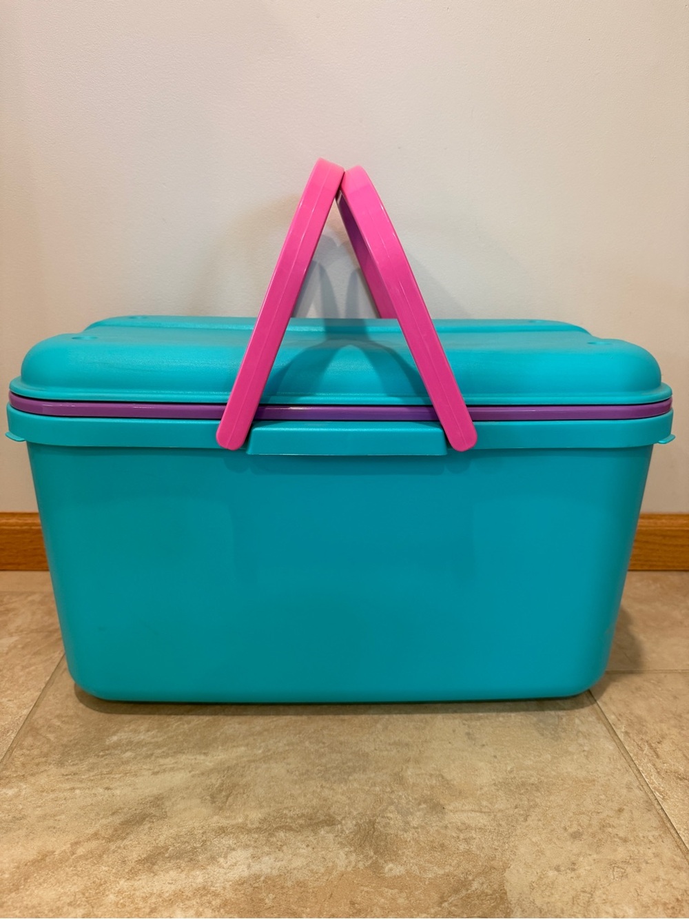 Vintage Eagle Craftsor Sewing Craft Tote Bin Teal Blue and Pink With trays
